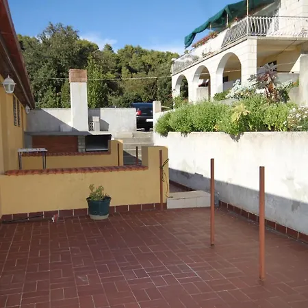 Brna 9162b * Smokvica