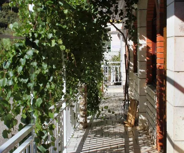 Brna 9162b * Smokvica